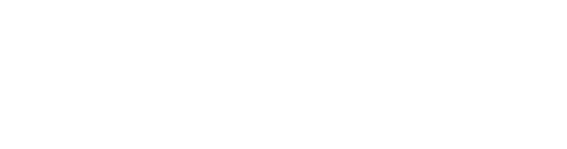 VSS Enterprise.
A pitch we made when Virgin Galactic first came about.
